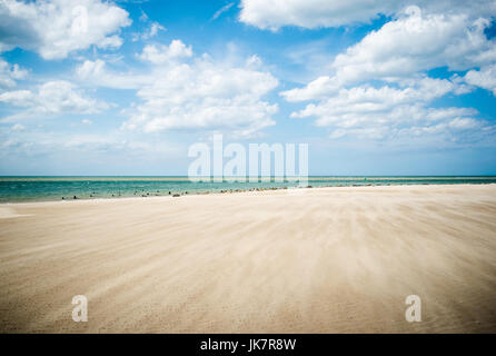 Blekeney Punkt, dichtet Kolonie Norwich, North Norfolk, Großbritannien Stockfoto