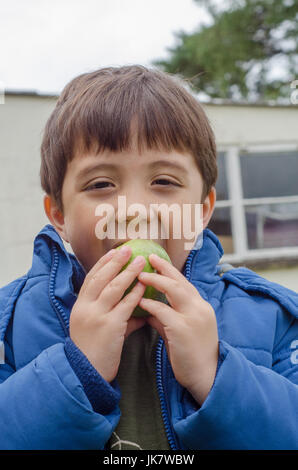 Ein Junge, einen einheimischer Apfel essen im Garten hinter dem Haus. Stockfoto