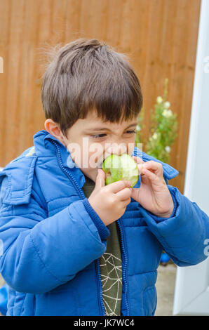 Ein Junge, einen einheimischer Apfel essen im Garten hinter dem Haus. Stockfoto