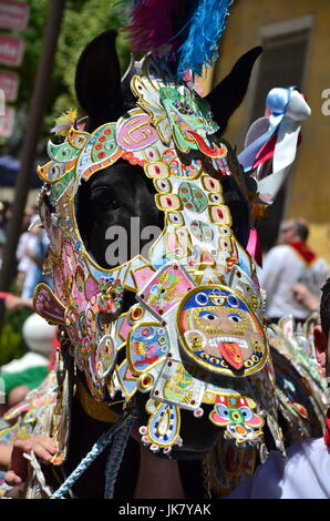 Caravaca De La Cruz-Festival. Wein-Pferde Stockfoto