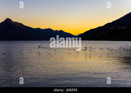 Silhouetten der Berge und Vögel über einem See bei Sonnenuntergang fliegen, (Lake Wakatipu, Queenstown, Südinsel, Neuseeland) Stockfoto