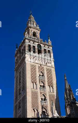 Spanien, Andalusien, Provinz Sevilla, Sevilla, die Kathedrale, der Giralda Turm Stockfoto