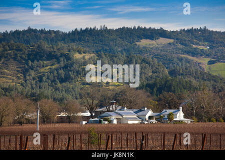 Napa Valley, California, USA und Nord-Kalifornien Wein-Land, Calistoga, Napa Weinberg Stockfoto