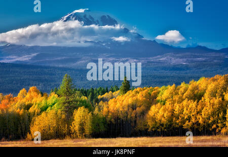 Mt. Adams mit Herbst farbige Espen, wie gesehen von Conboy Lake National Wildlife Refuge, Washington Stockfoto