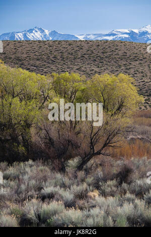 USA, California, Sierra Nevada Ostregion, Bischof, Landschaft von angenehmen Tal Stockfoto