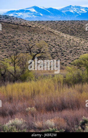 USA, California, Sierra Nevada Ostregion, Bischof, Landschaft von angenehmen Tal Stockfoto