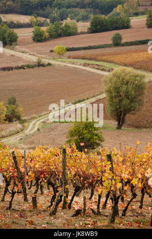 Frankreich, Region Midi-Pyrénées, Tarn Abteilung, Gaillac, Weinberg im Herbst Stockfoto