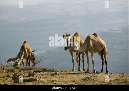 Oman, Region Dhofar, Salalah, Berglandschaft, Wandergitarre, Stockfoto