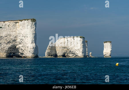 Old Harry Rocks, Handfast Punkt Studland Bay Stockfoto