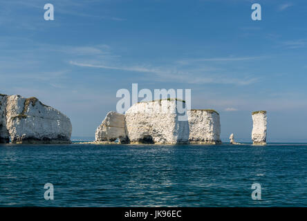 Old Harry Rocks, Handfast Punkt Studland Bay Stockfoto
