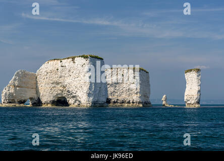 Old Harry Rocks, Handfast Punkt Studland Bay Stockfoto