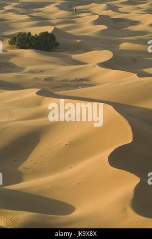 Marokko, Tafilalt, Merzouga, Erg Chebbi-Dünen, Afrika, Nordafrika, Sahara, Landschaft, Dünen, Verwicklungen, Sanddünen, Außen, Wüstenlandschaft, Trockenheit, Hitze, Lebensfeindlich, Dünengrat, Dünenkamm, Menschenleer, Stockfoto