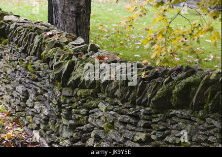 USA, Kentucky, unsere, Shaker Village of Pleasant Hill, Steinmauer, Detail, Nordamerika, Reiseziel, Sehenswürdigkeit, Museum, Historisch, Garten, Mauer, Außen, Menschenleer, Baum, Laub, Herbstlich, Stockfoto