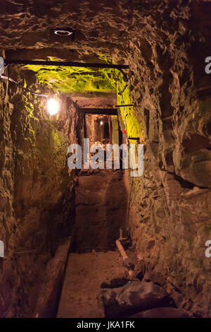 Frankreich, Region Nord-Pas de Calais, Pas-De-Calais-Abteilung, Vimy, Vimy Ridge National Historic Site of Canada, World War ein Schlachtfeld und Denkmal für die kanadischen Truppen, tunnel-Interieur Stockfoto