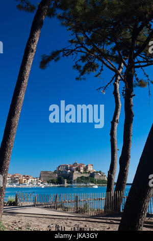 Frankreich, Korsika, Haute-Corse Abteilung, La Balagne Region, Calvi, Port de Plaissance Yachthafen mit Blick auf die Zitadelle aus dem Golfe de Calvi-Golf Stockfoto