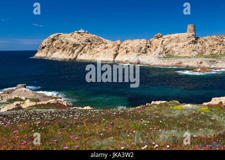 Frankreich, Korsika, Haute-Corse Abteilung, La Balagne Region, Ile Rousse, Ile De La Pietra Insel, Leuchtturm und genuesischen Turm Stockfoto