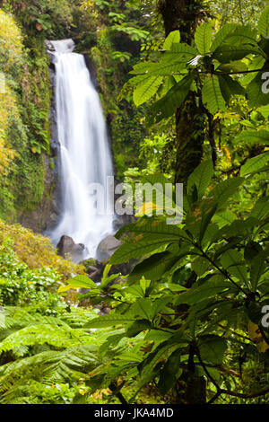 Dominica, Roseau, Roseau Valley, Trafalgar Wasserfälle Stockfoto