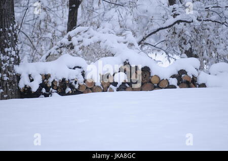 Brennholz im Schnee Stockfoto