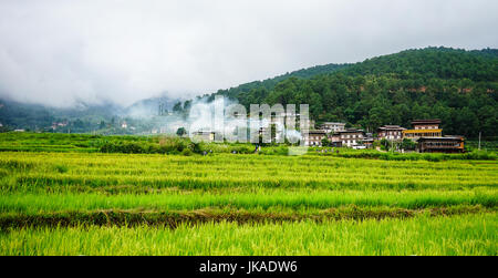 Terrassenförmig angelegten Ackerland mit Reisfeld im Sopsokha Village, Bhutan. Landwirtschaft hat eine dominierende Rolle in Bhutan Wirtschaft. Stockfoto