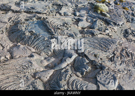 Verfestigt lave Strömung auf der Küstenebene des südlichen Island Stockfoto