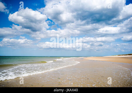 Blekeney Punkt, dichtet Kolonie Norwich, North Norfolk, Großbritannien Stockfoto