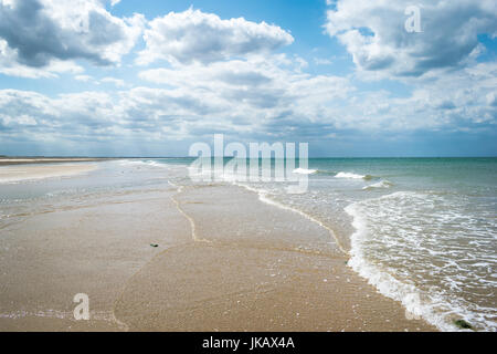 Blekeney Punkt, dichtet Kolonie Norwich, North Norfolk, Großbritannien Stockfoto