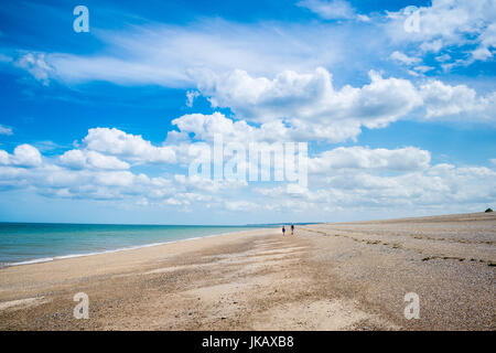 Blekeney Punkt, dichtet Kolonie Norwich, North Norfolk, Großbritannien Stockfoto