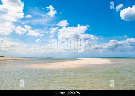 Blekeney Punkt, dichtet Kolonie Norwich, North Norfolk, Großbritannien Stockfoto