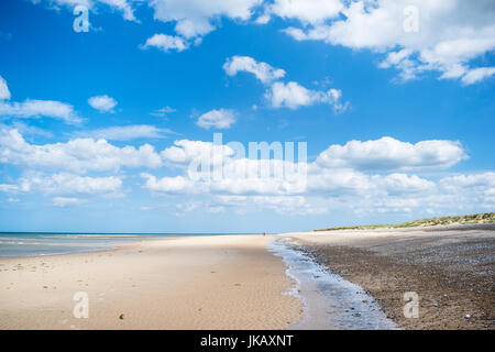 Blekeney Punkt, dichtet Kolonie Norwich, North Norfolk, Großbritannien Stockfoto