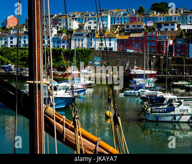 GB - DEVON: Brixham Hafenblick Stockfoto