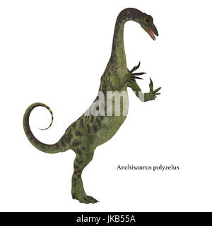 Anchisaurus war ein Allesfresser prosauropod Dinosaurier, der in der Jurassic Perioden von Nordamerika, Europa und Afrika lebte. Stockfoto