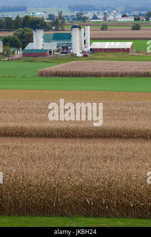 USA, Pennsylvania, New Holland, erhöhte Bauernhof anzeigen Stockfoto