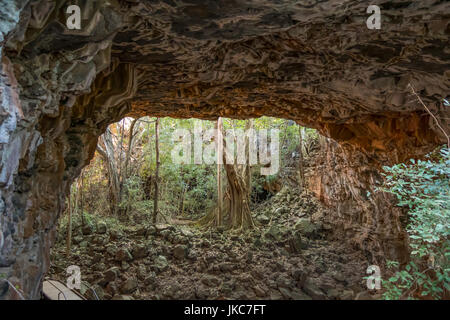 Torbogen Lavatunnel, Undara Volcanic National Park, Queensland, Australien Stockfoto