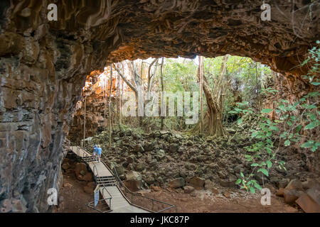 Torbogen Lavatunnel, Undara Volcanic National Park, Queensland, Australien Stockfoto