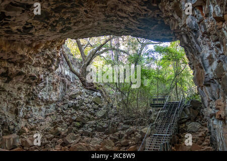 Torbogen Lavatunnel, Undara Volcanic National Park, Queensland, Australien Stockfoto