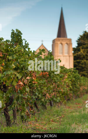 Australien, South Australia, Barossa Valley, Rowland Flat, Trinity Lutheran Church, Sonnenuntergang Stockfoto