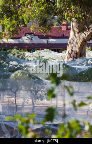 Australien, South Australia, Clare Valley, Mintaro, Weinberge von Marpie und stumpf Hotel Stockfoto