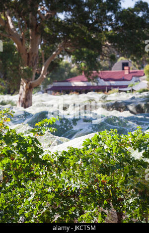 Australien, South Australia, Clare Valley, Mintaro, Weinberge von Marpie und stumpf Hotel Stockfoto