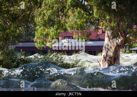 Australien, South Australia, Clare Valley, Mintaro, Weinberge von Marpie und stumpf Hotel Stockfoto