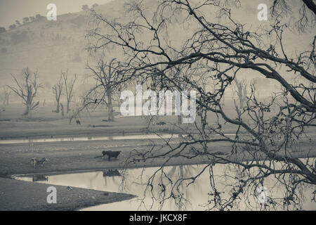 Australien, Victoria, VIC, Huon, Landschaft von Lake Hume mit Wald Feuer Rauch Stockfoto