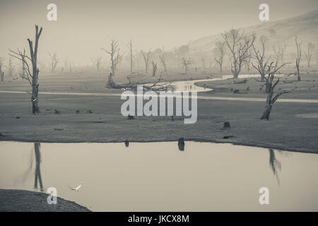 Australien, Victoria, VIC, Huon, Landschaft von Lake Hume mit Wald Feuer Rauch Stockfoto