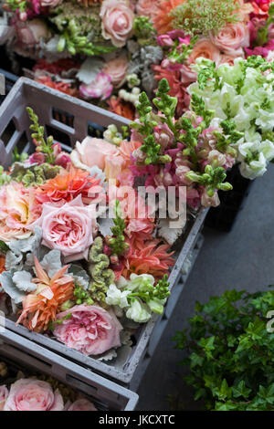 Australien, Victoria, VIC, Melbourne, Prahran, Prahran Market, Blumen Stockfoto