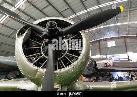 Australien, Western Australia, Bull Creek, RAAF Aviation Heritage Museum, WW2-Ära CA 16 Wirraway Mk. III-Jagdflugzeug Stockfoto