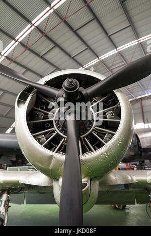 Australien, Western Australia, Bull Creek, RAAF Aviation Heritage Museum, WW2-Ära CA 16 Wirraway Mk. III-Jagdflugzeug Stockfoto