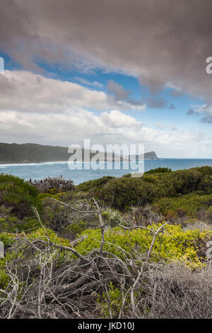 Australien, Western Australia, im Südwesten, Albany, Jimmy Newell Hafen Stockfoto