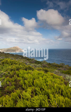 Australien, Western Australia, im Südwesten, Albany, Jimmy Newell Hafen Stockfoto