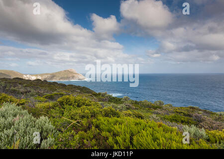 Australien, Western Australia, im Südwesten, Albany, Jimmy Newell Hafen Stockfoto