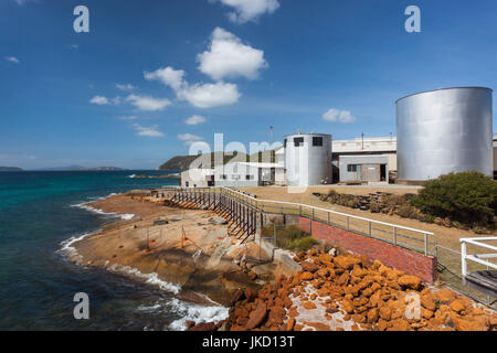 Australien, Western Australia, The Southwest, Albany, Wal Welt, ehemalige Walfang-Station, whale Datenspeicherlösungen Öltanks Stockfoto