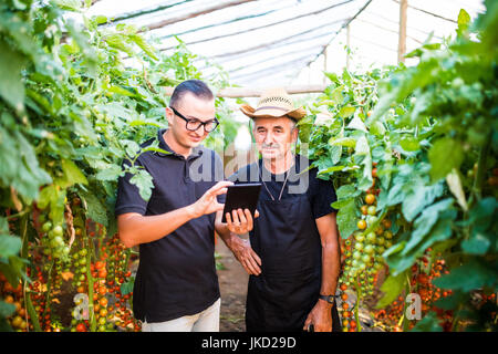 Zwei Landwirtschaft Landwirt Arbeiter Ckecking Bestellungen von Cherry-Tomate auf Tablet von Kunden im Gewächshaus. Landwirtschaft-Geschäft Stockfoto