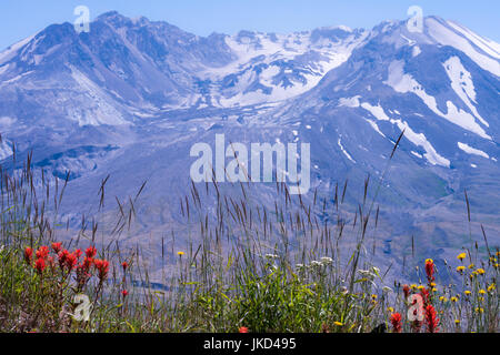 Mount St. Helens Stockfoto